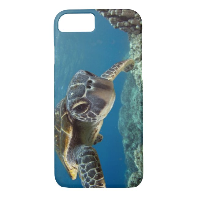 Hawaiian Green Sea Turtle Case-Mate iPhone Case (Back)