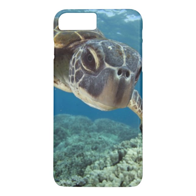 Hawaiian Green Sea Turtle Case-Mate iPhone Case (Back)