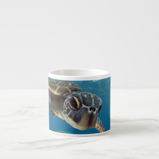 Hawaiian Green Sea Turtle Espresso Cup (Front)
