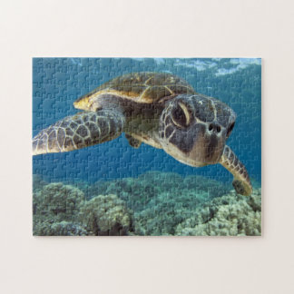 Hawaiian Green Sea Turtle Jigsaw Puzzle