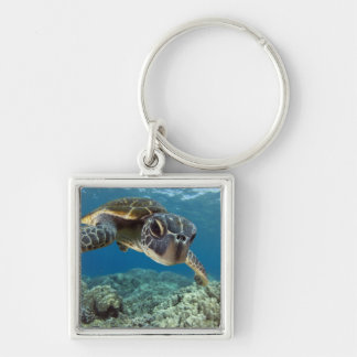 Hawaiian Green Sea Turtle Keychain