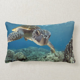 Hawaiian Green Sea Turtle Lumbar Pillow