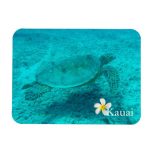 Hawaiian Green Sea Turtle Magnet