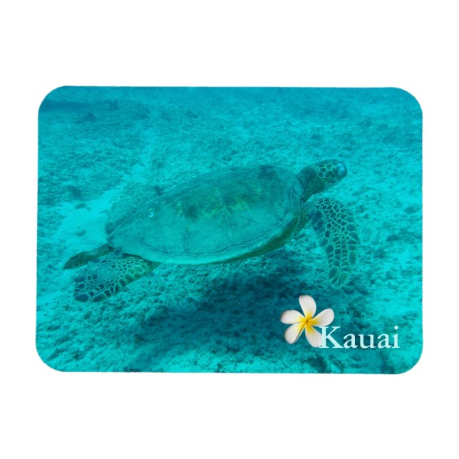 Hawaiian Green Sea Turtle Magnet (Horizontal)