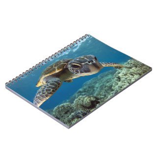 Hawaiian Green Sea Turtle Notebook