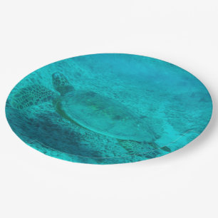 Hawaiian Green Sea Turtle Paper Plate