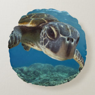 Hawaiian Green Sea Turtle Round Pillow