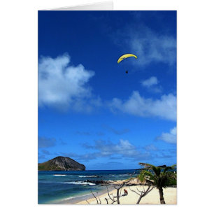 Hawaiian Hang glider