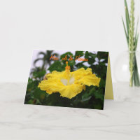 Hawaiian Happy Birthday Deep Yellow Hibiscus Card