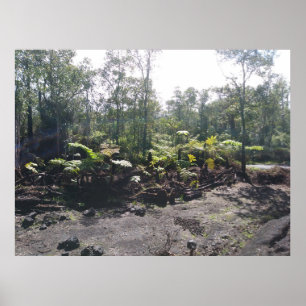 HAWAIIAN HAPUU FERNS POSTER