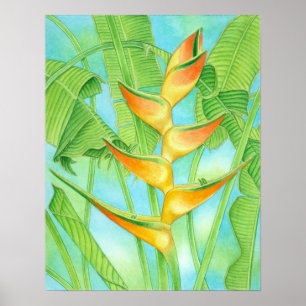 Hawaiian Heliconia Poster