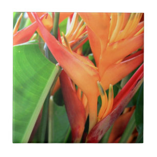 Hawaiian Hibiscus Flower Ceramic Tile