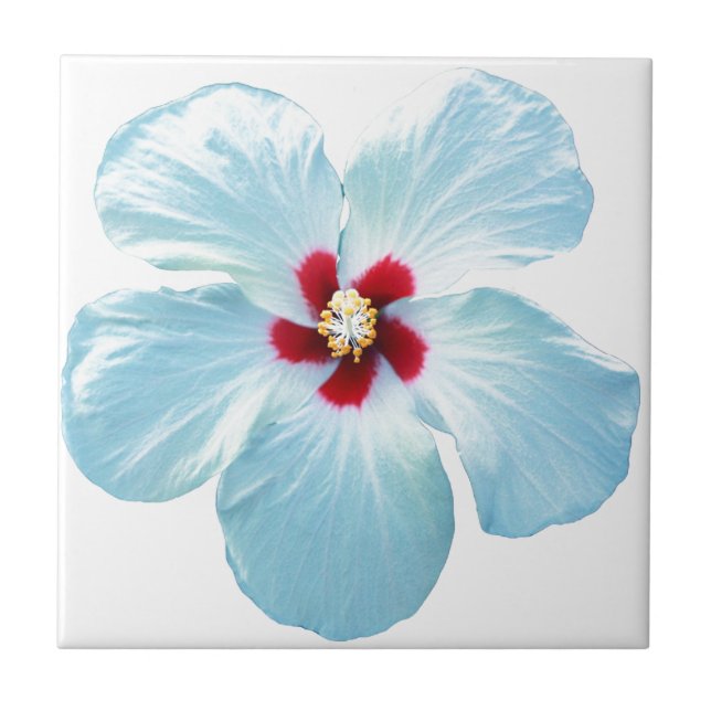 Hawaiian Hibiscus Flower Tile (Front)