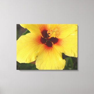 Hawaiian Hibiscus Flower Wrapped Canvas Print