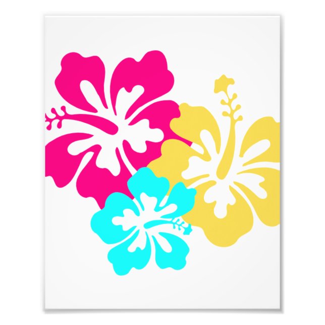 Hawaiian Hibiscus Flowers Photo Print (Front)