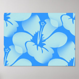 Hawaiian Hibiscus Flowers Poster