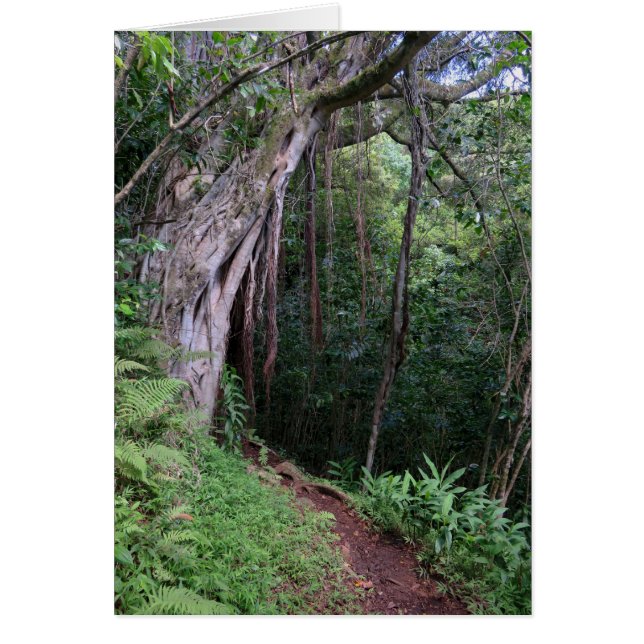 Hawaiian Hiking Trail (Front)