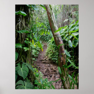 Hawaiian Hiking Trail Poster