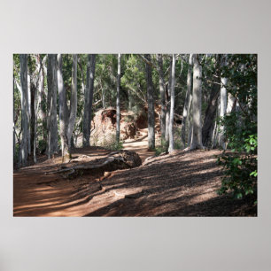 Hawaiian Hiking Trail Poster