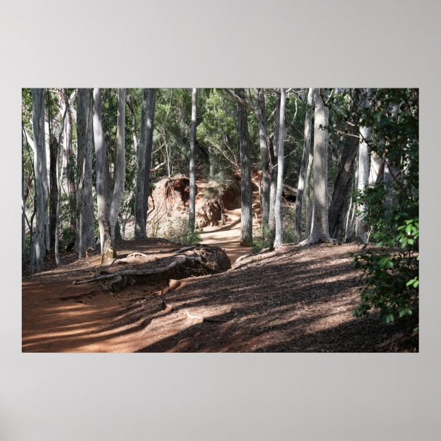Hawaiian Hiking Trail Poster (Front)