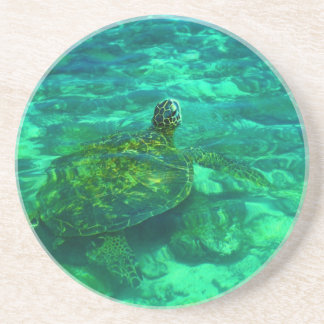 Hawaiian Honu Sea Turtle Coaster