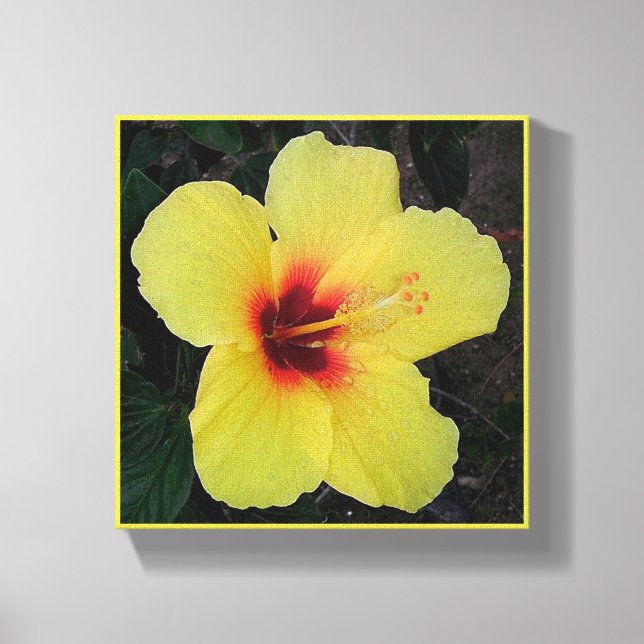 Hawaiian Hula Girl Hibiscus Stretched Canvas Print (Front)