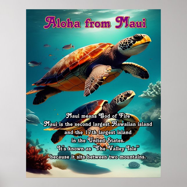 Hawaiian islands Maui Aloha  Poster (Front)
