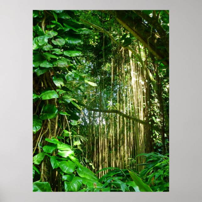 Hawaiian Jungle Vines Poster (Front)