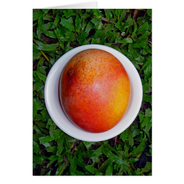 Hawaiian Mango (Front)