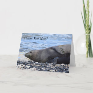 Hawaiian Monk Seal and Her Pup Holiday Card