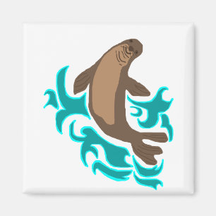 Hawaiian Monk Seal magnet