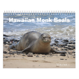 Hawaiian Monk Seals  Calendar
