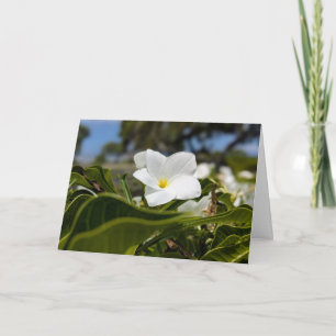 Hawaiian Natural Landscape Photography Thank You Card