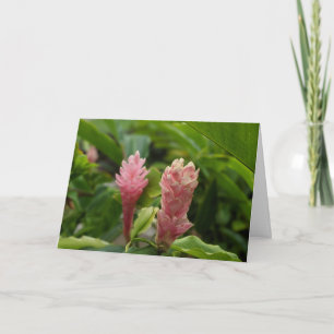 Hawaiian Natural Landscape Photography Thank You Card