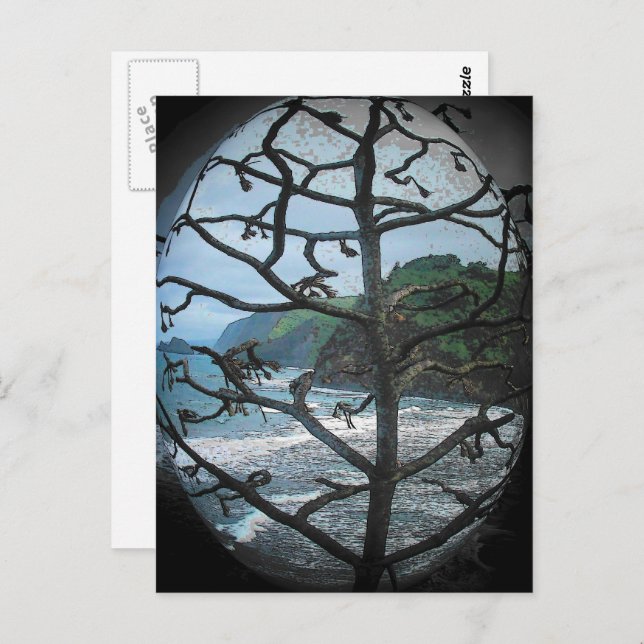 Hawaiian Ocean Beach Tree Photo Spotlight Postcard (Front/Back)