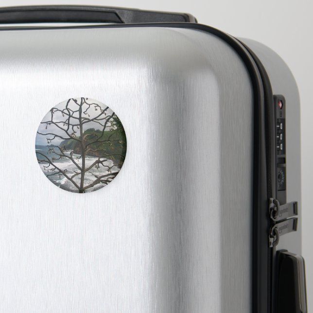 Hawaiian Ocean Beach Tree Photo View Magnet (In Situ (Luggage))