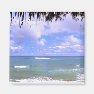 Hawaiian Ocean Magnet