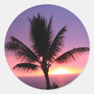 Hawaiian Palm Tree & Colourful Sunset Classic Round Sticker
