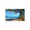 Hawaiian Palm Tree Wrapped Canvas