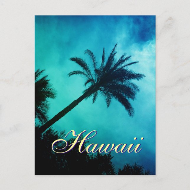 Hawaiian Palm Trees Postcard (Front)