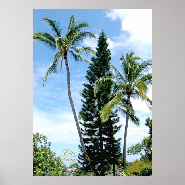 Hawaiian Palms Poster (Front)