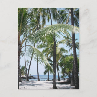 Hawaiian Paradise Postcard
