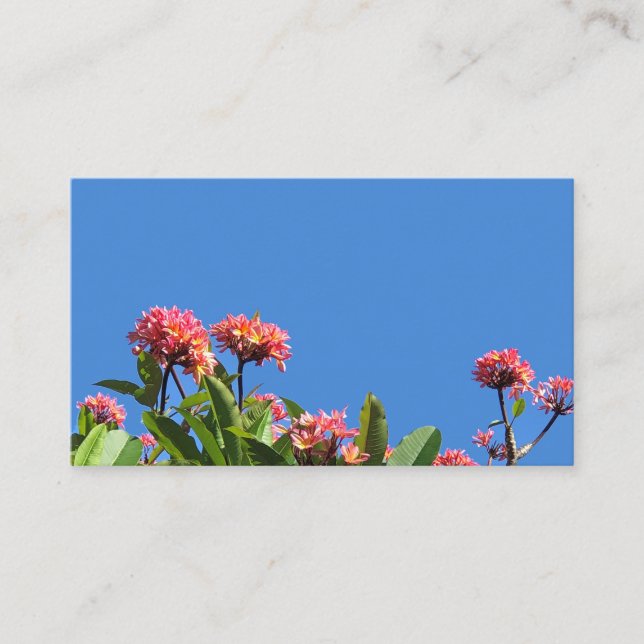 Hawaiian Plumeria Business Card (Front)