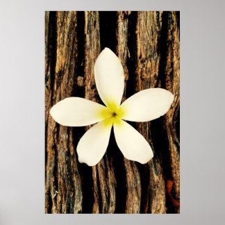 Hawaiian Plumeria Statement Piece Poster