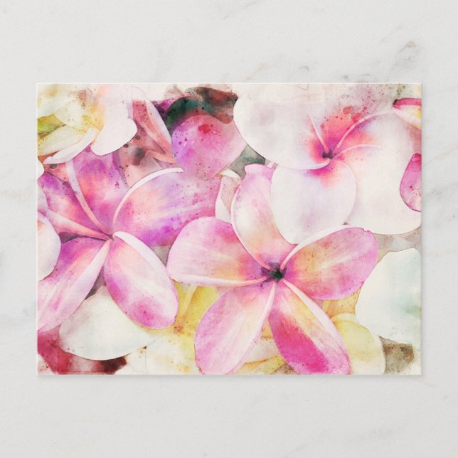Hawaiian Plumeria Tropical Floral Watercolor Postcard (Front)
