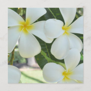Hawaiian Plumeria Wedding Invitation