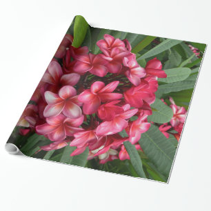 Hawaiian Plumeria Wrapping Paper