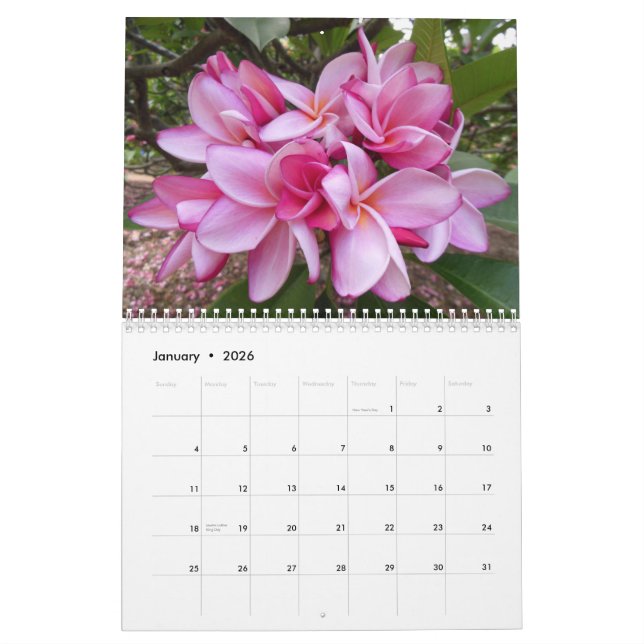 Hawaiian Plumerias Calendar (Jan 2026)