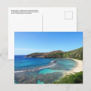 Hawaiian Postcard