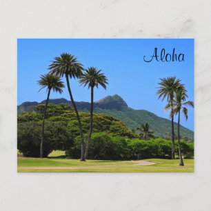 Hawaiian Postcard